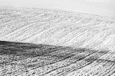 Field 2 B&W, par Xavier E. G. Dierick